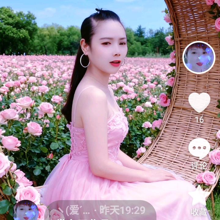 ヽ(爱´∀‘爱)ノ珊🐕🍜姐，🌴🦋