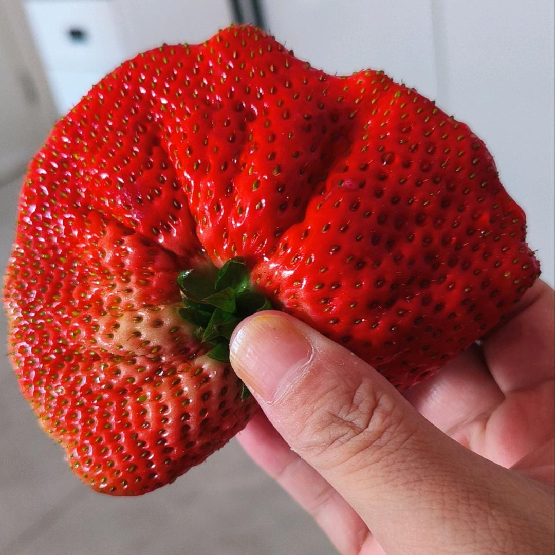 带着微笑看世界