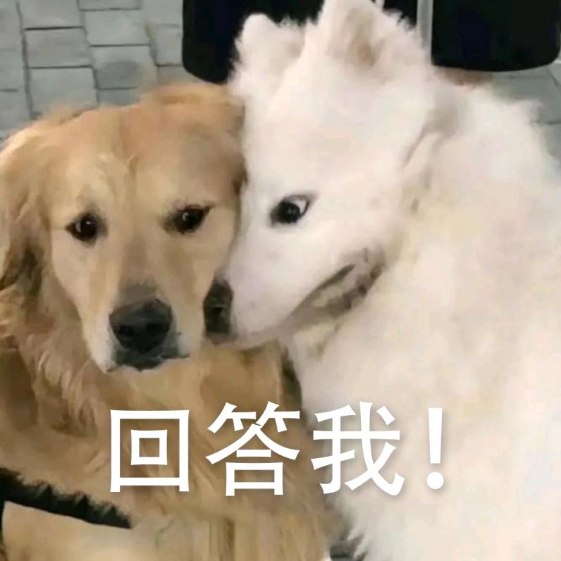 浮沉&