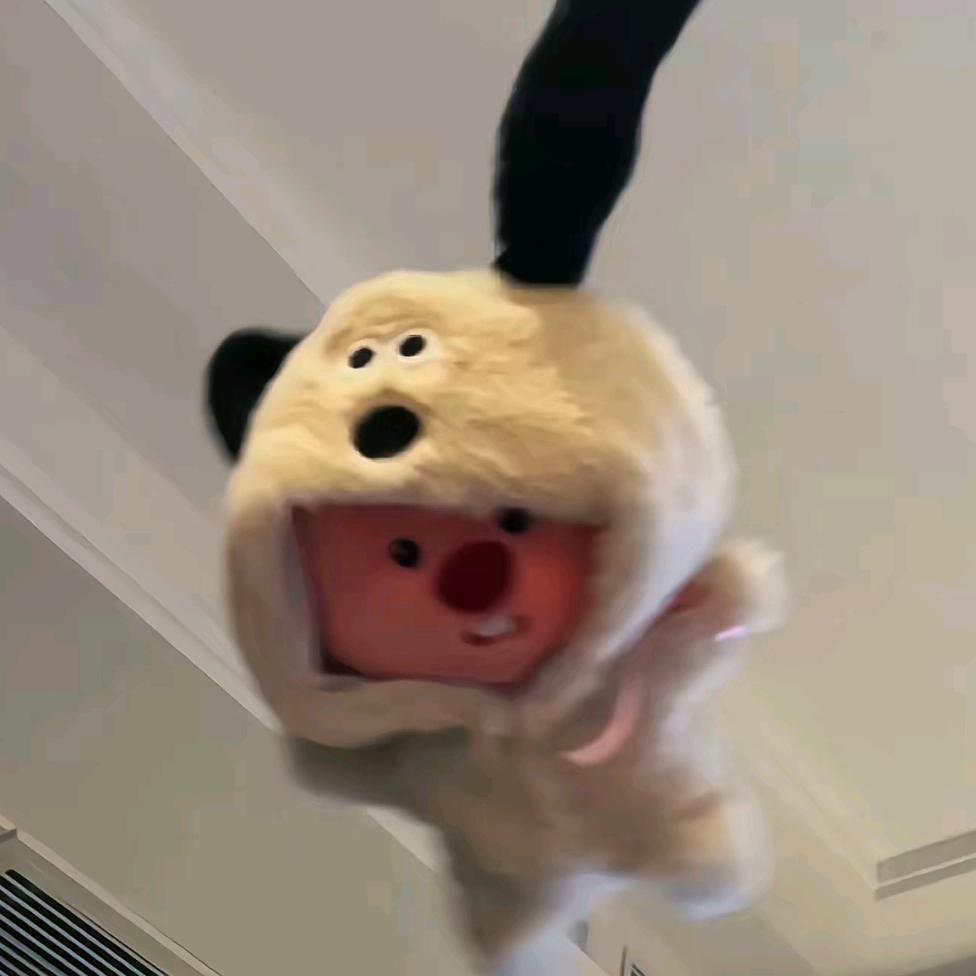 Judy Hopps