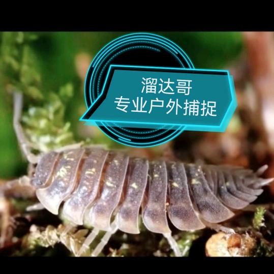 🐒溜🌴达🦂哥🏝