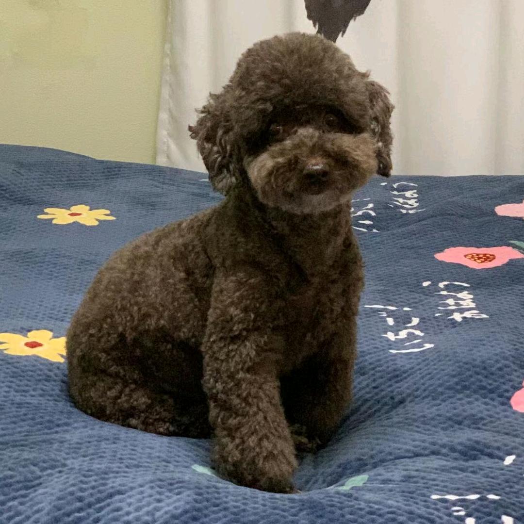 老乐