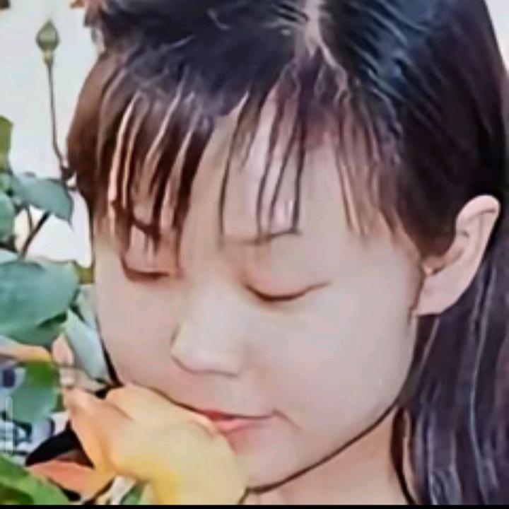 狐兰兰
