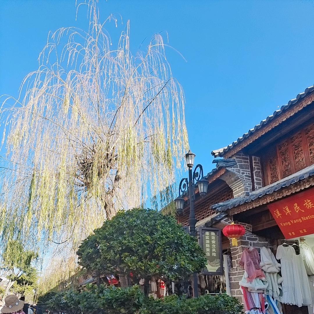 用户优雅的巧克力