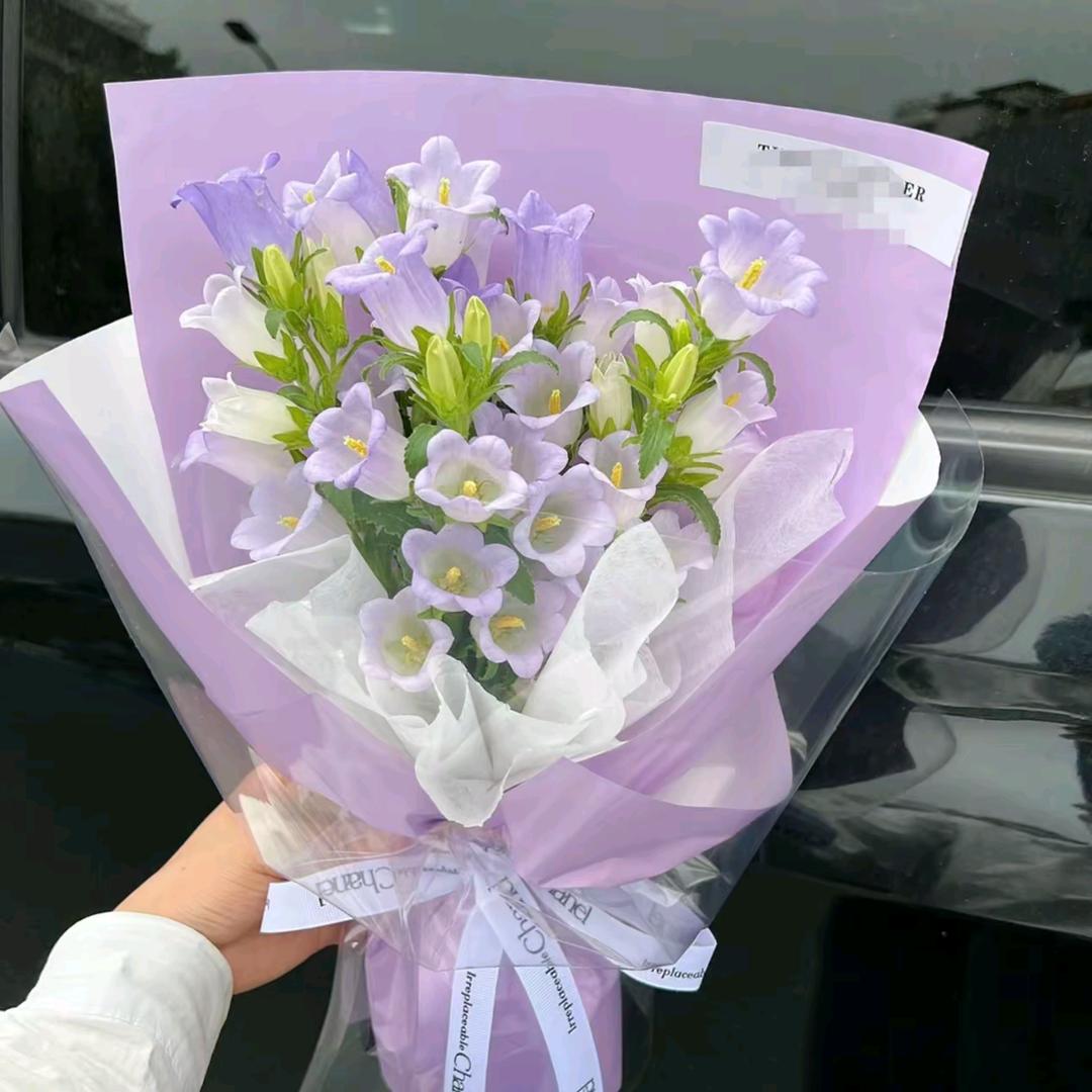 风铃花