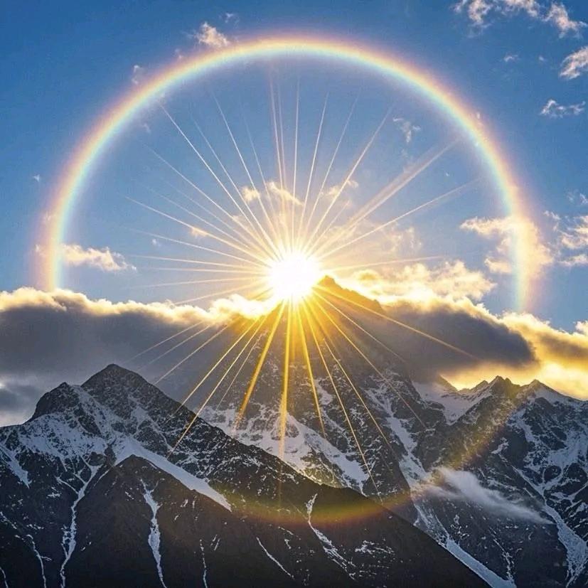 哈哈哈哈哈哈……蜜瓜