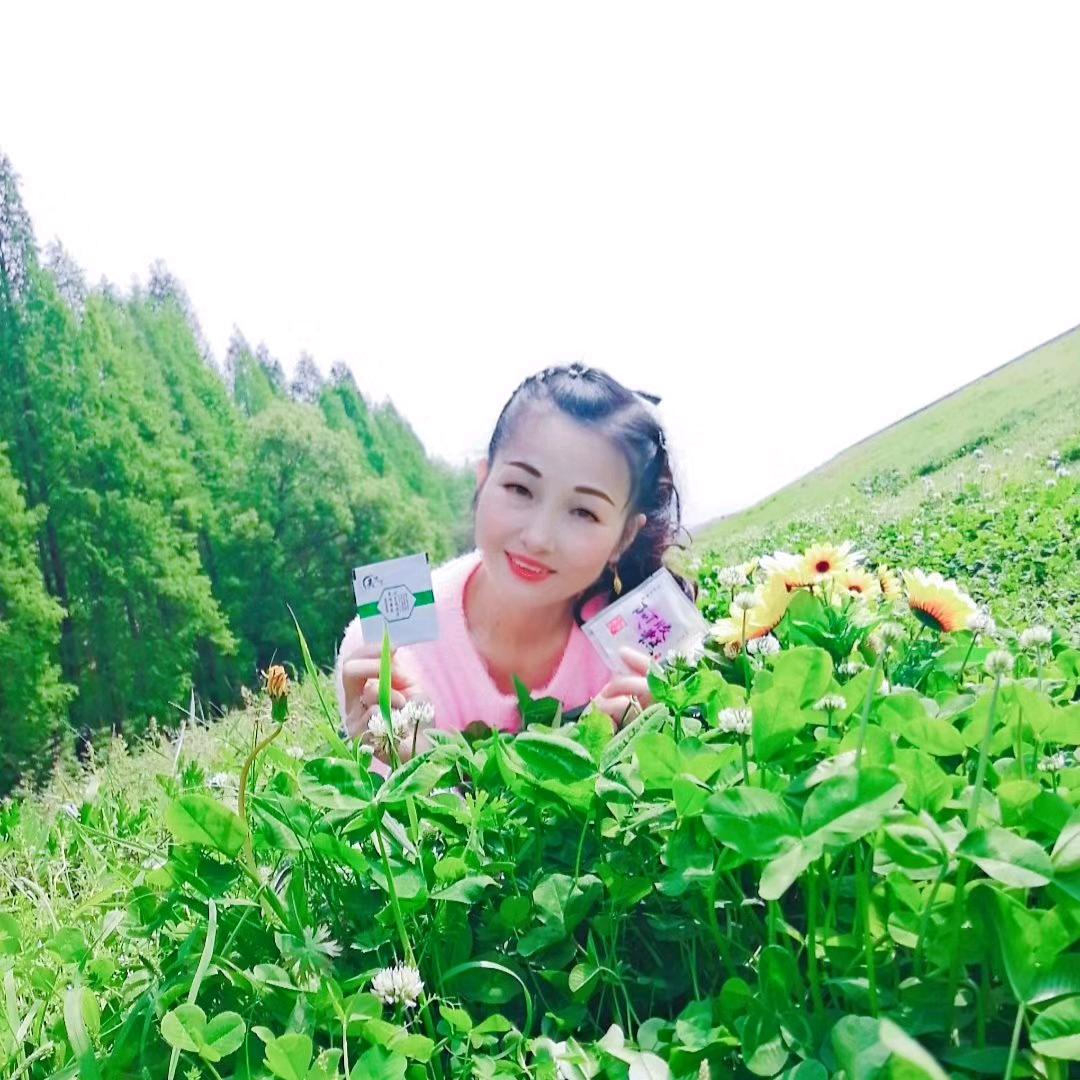 ✨风中情✨