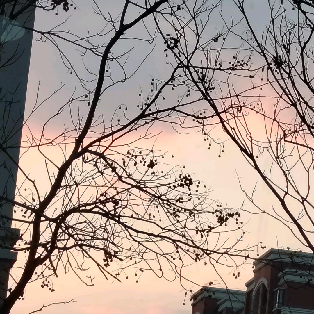 浪美靓妆（南桥店）