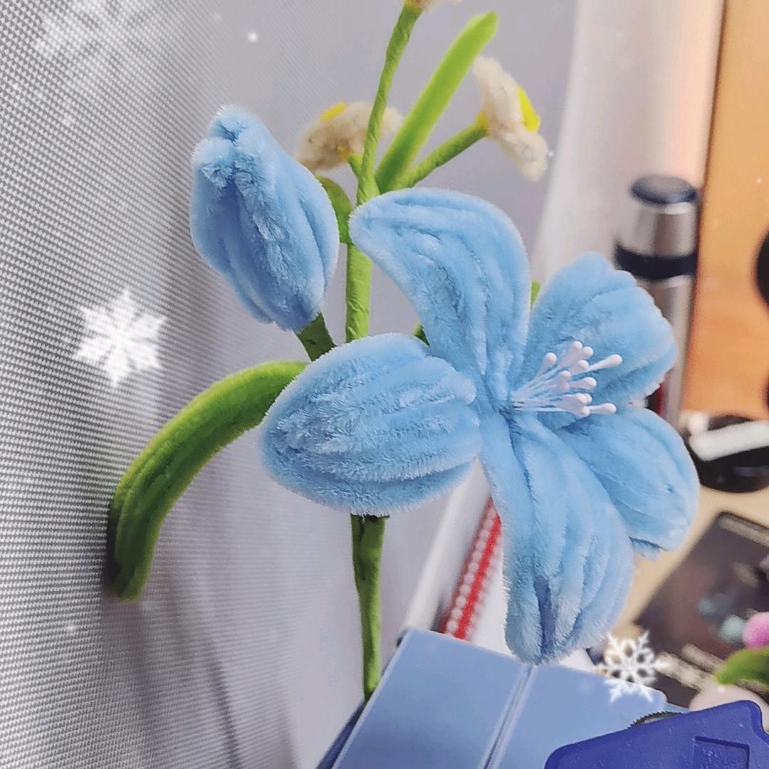 🌹🌹金亿寻🌈