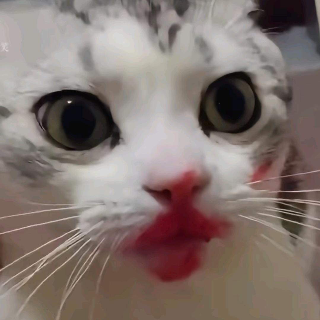 古希腊掌管时间的神●)o(●
