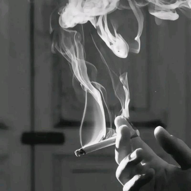 🌻海阔天空🌻