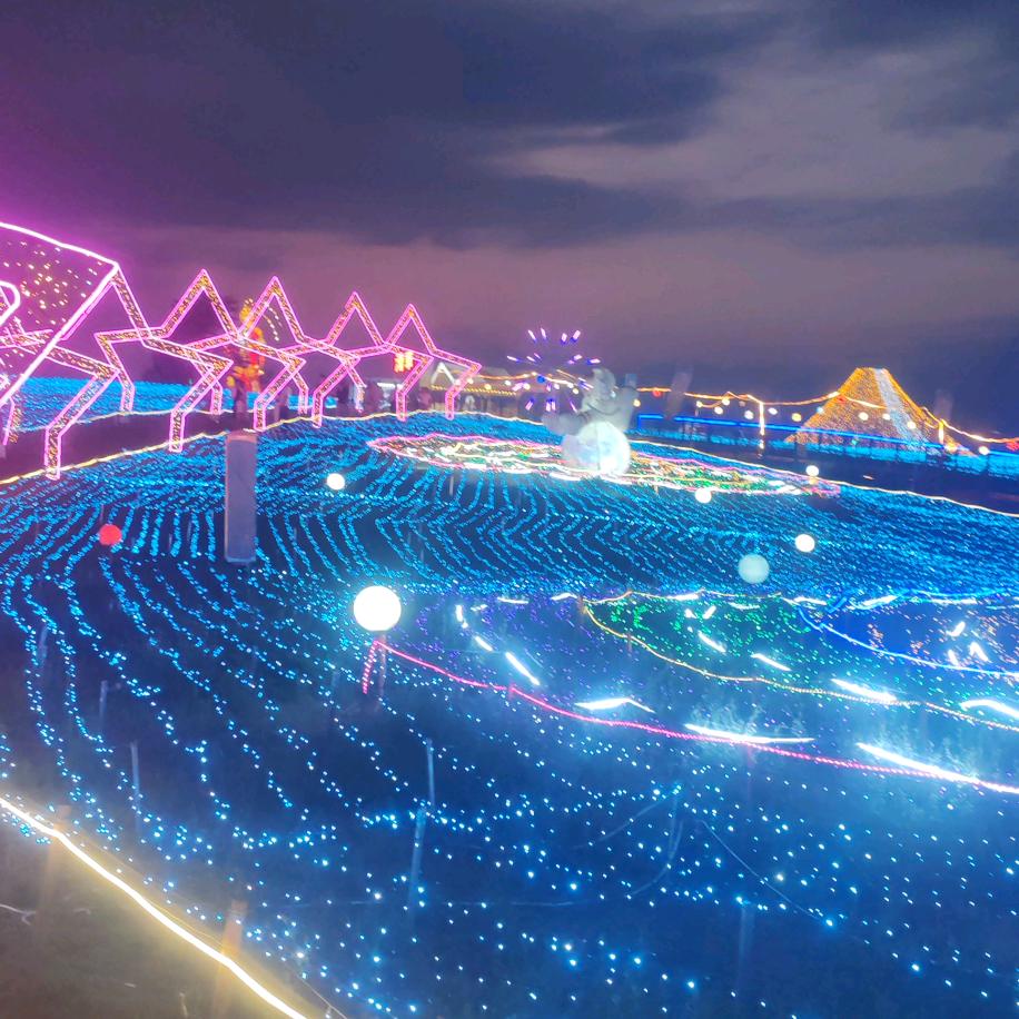 我命又我不由天