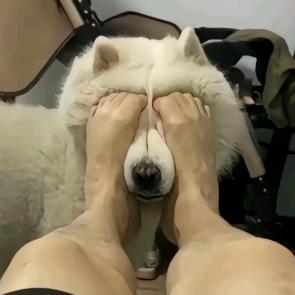 .`
