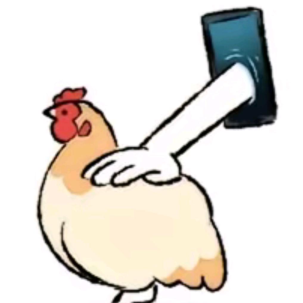 衬
