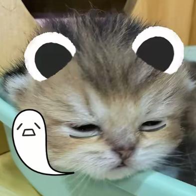 悲
