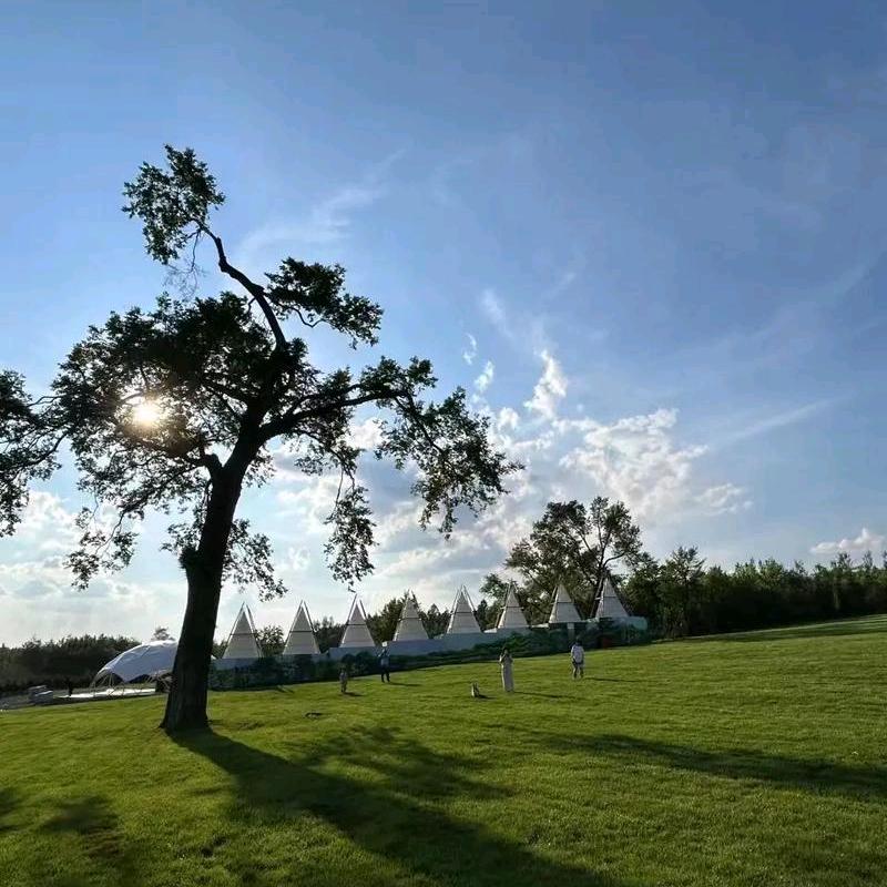 时间之外-森林营地