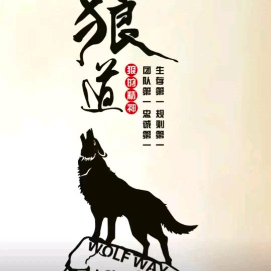璀璨的孤狼🐺🐺✨✨✨