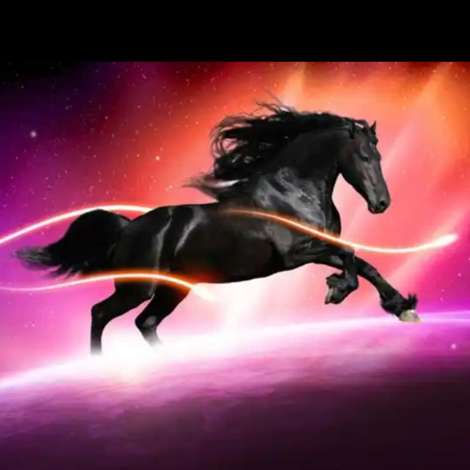 ♬♛♬ 黑马～天行