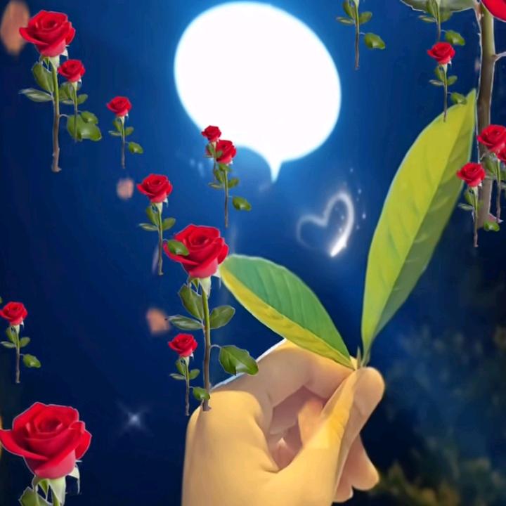 春暖花开🌷虎牙妹🐯