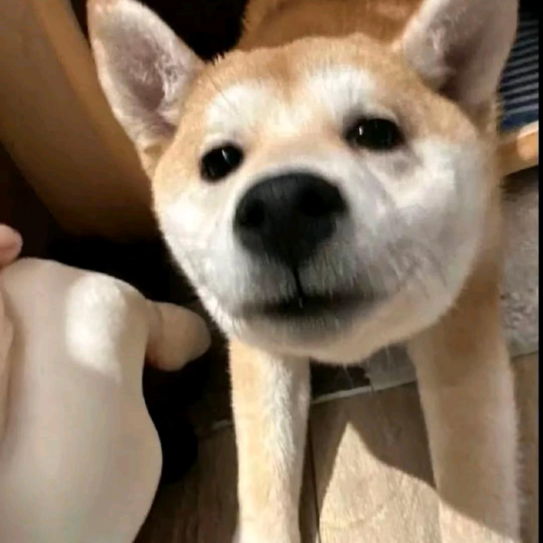单身也好