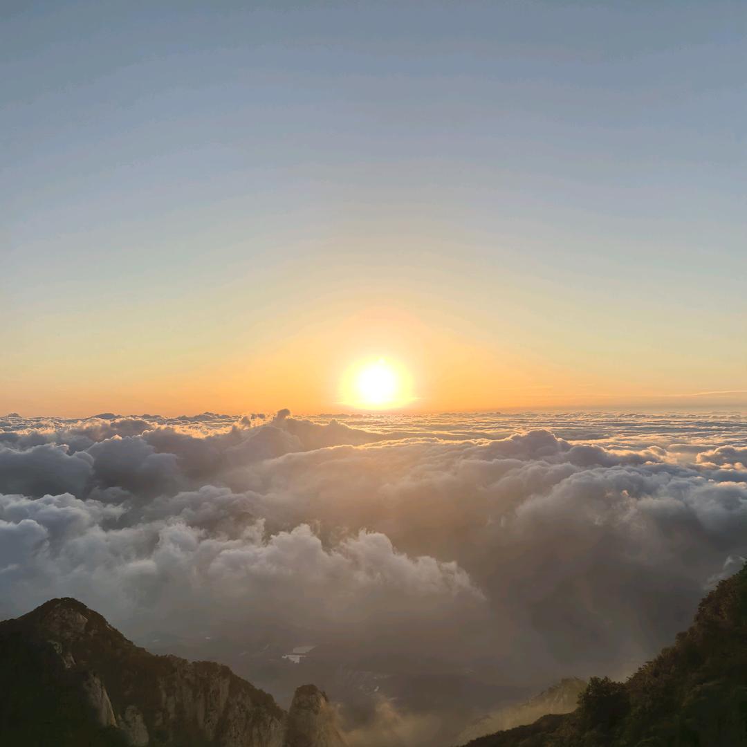 风中的影子