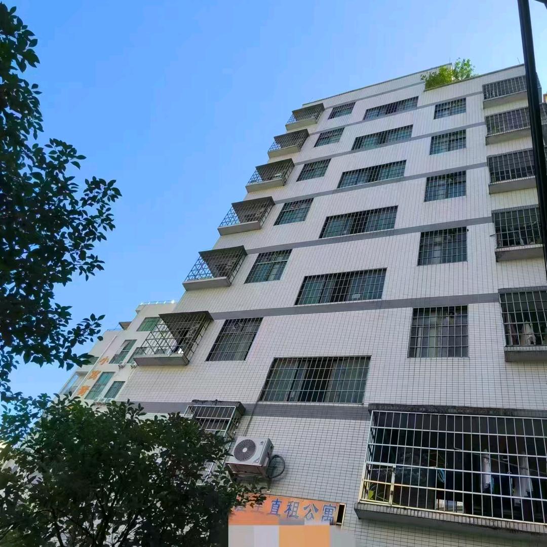 广州市白云区龙归周姐房屋租赁咨询部（个体工商户）