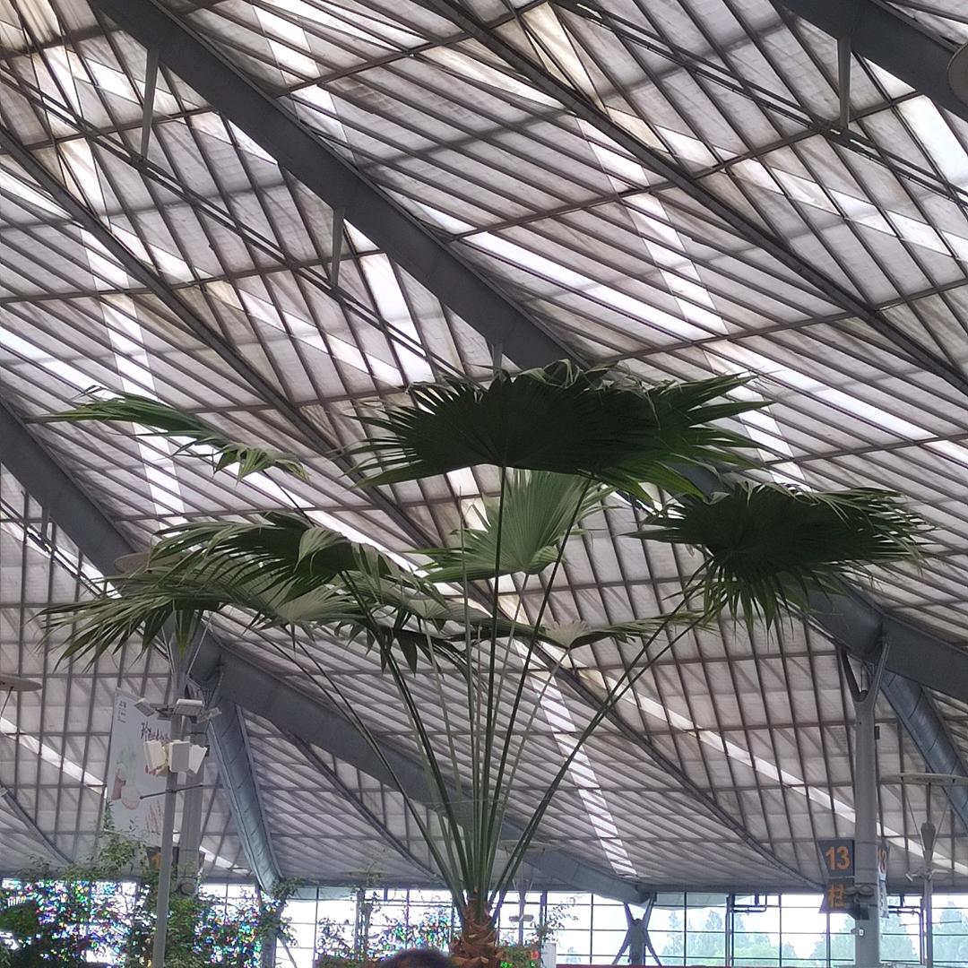 爱着没有宠着好，高调一下