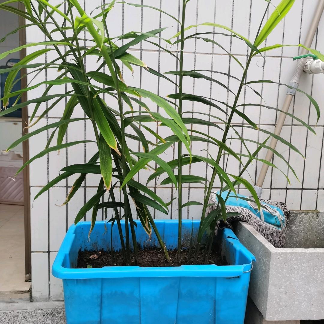 华北奥莱线下店