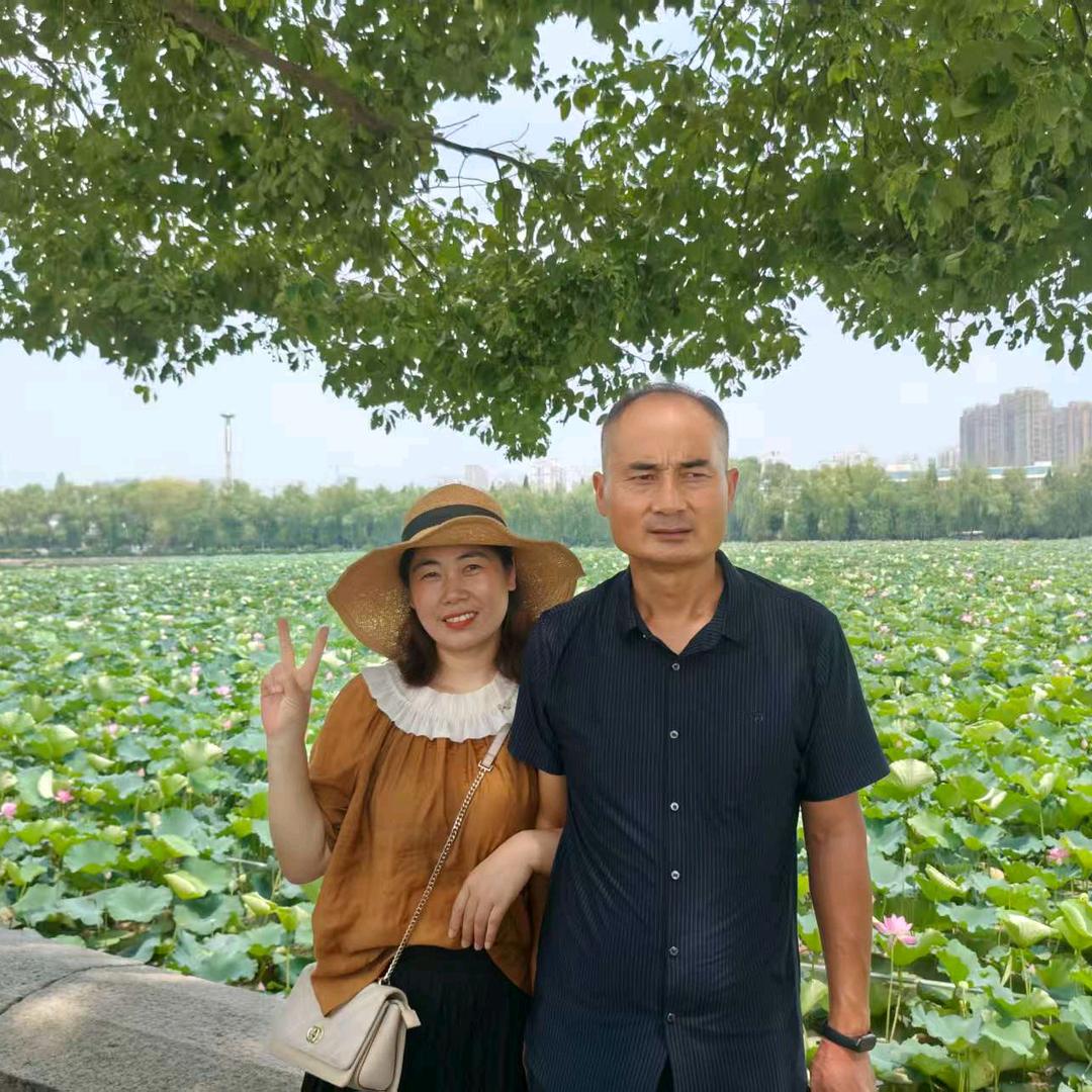 大海西红柿现摘现卖