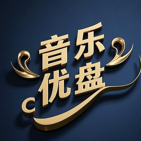 dj先生可够u盘