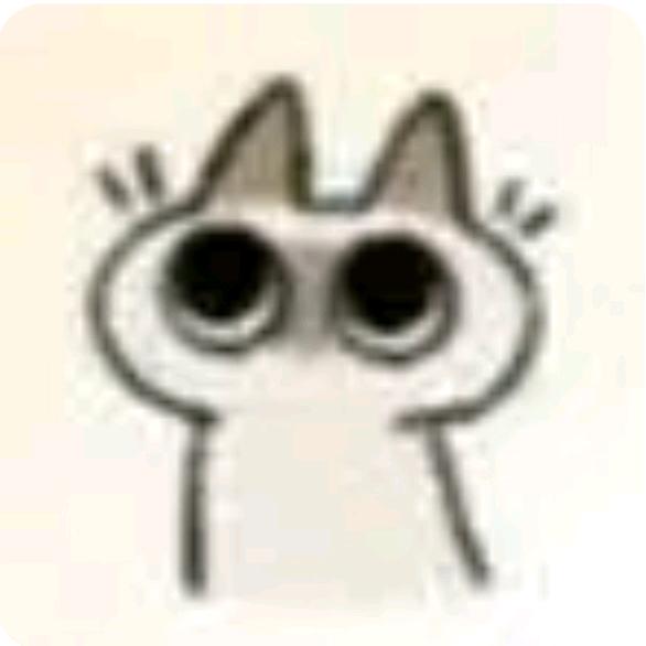 莫凹猫