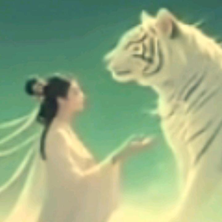 贝贝