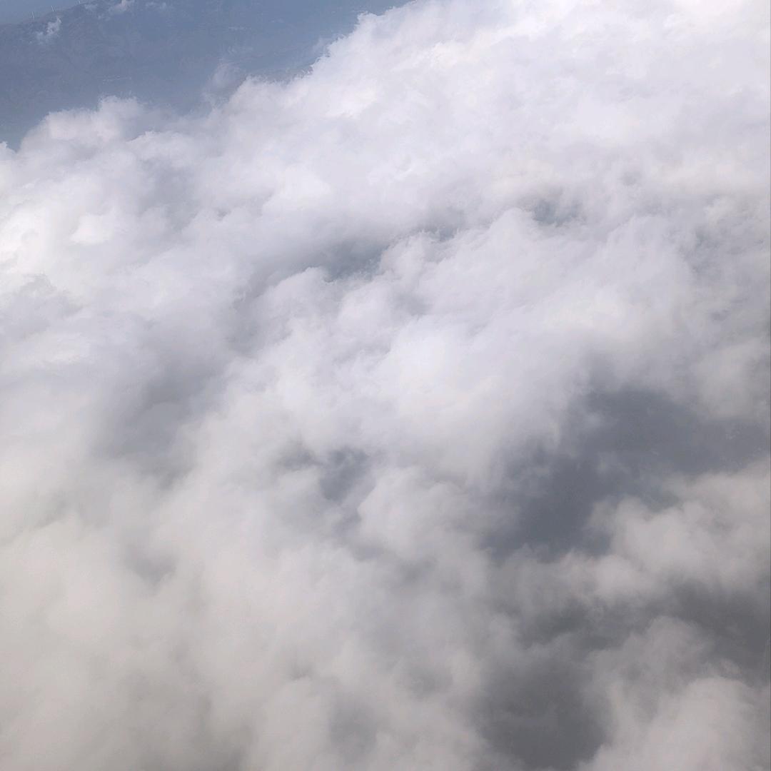 2586949468