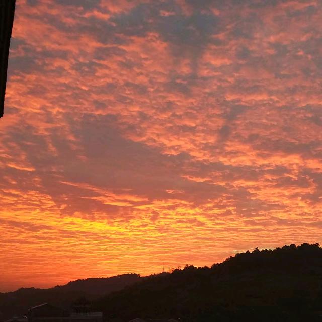 金太阳好物优选