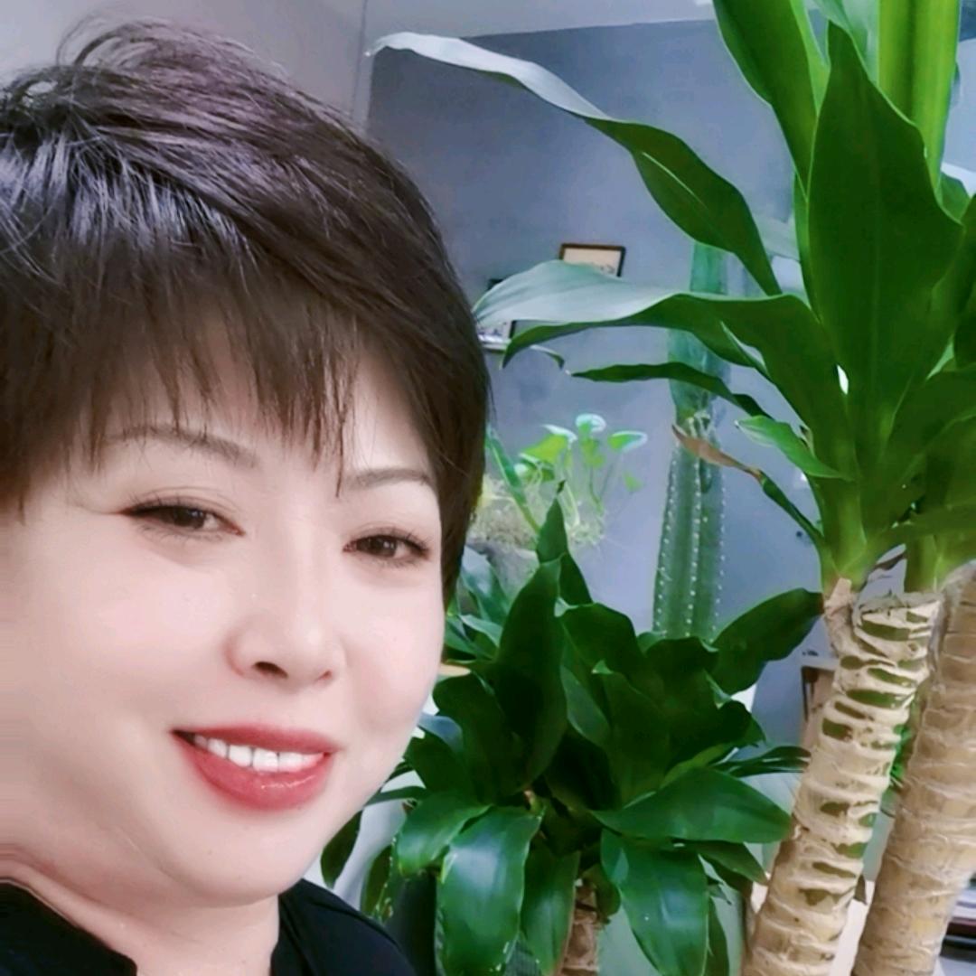 衡水房产教育落户