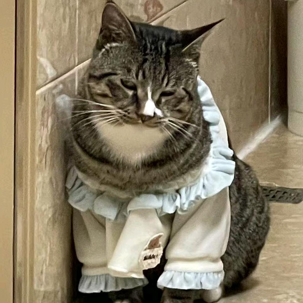 何言