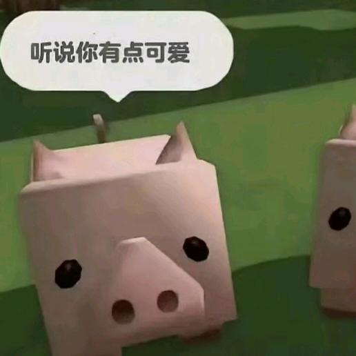 林小泽💫(三角洲行动)