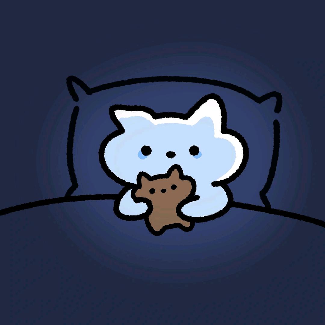 凌晨1点的猫i
