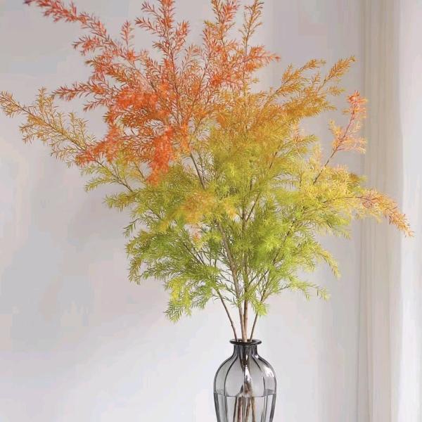 🥀້໌ᮨ2025-8-18꧔