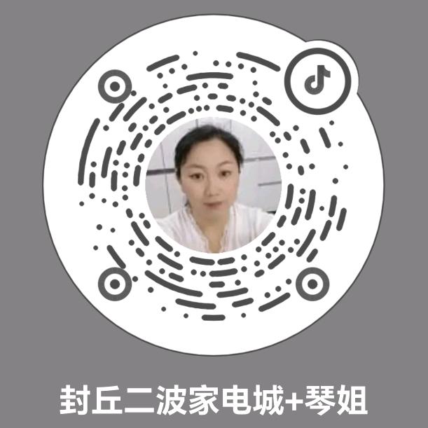 卖家电的琴姐