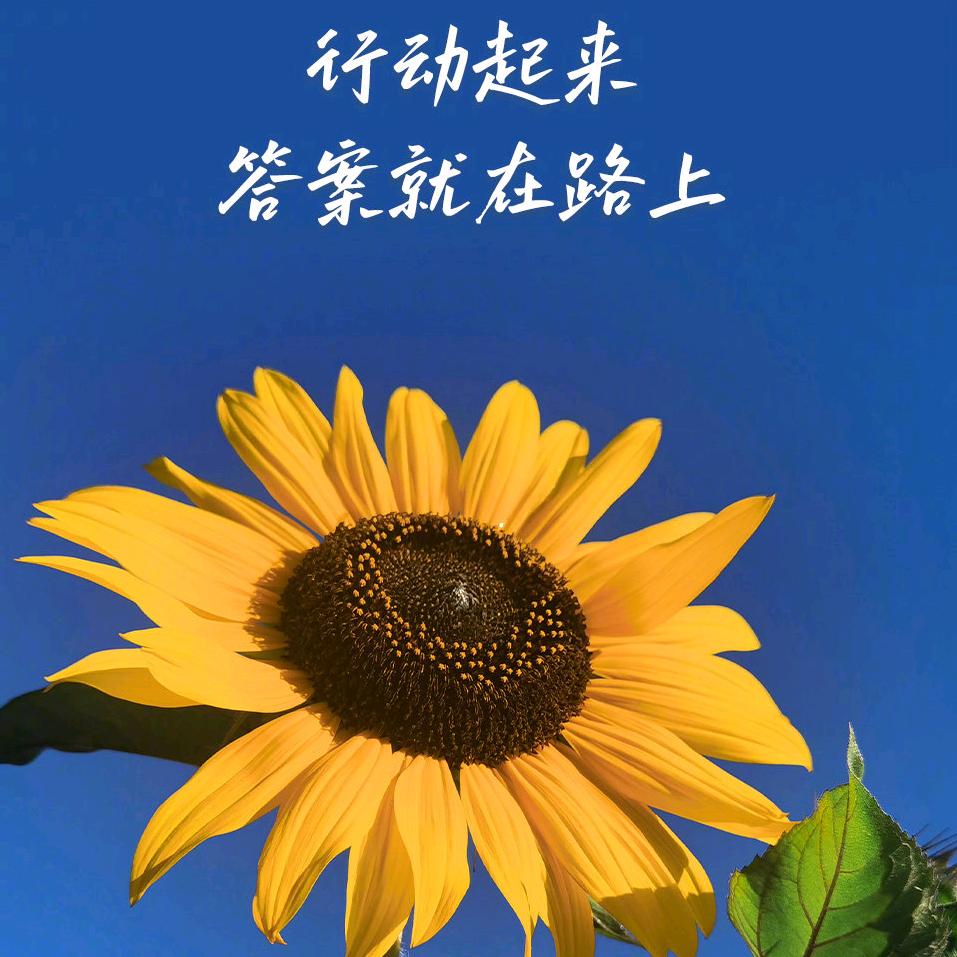 正义者联盟❤️