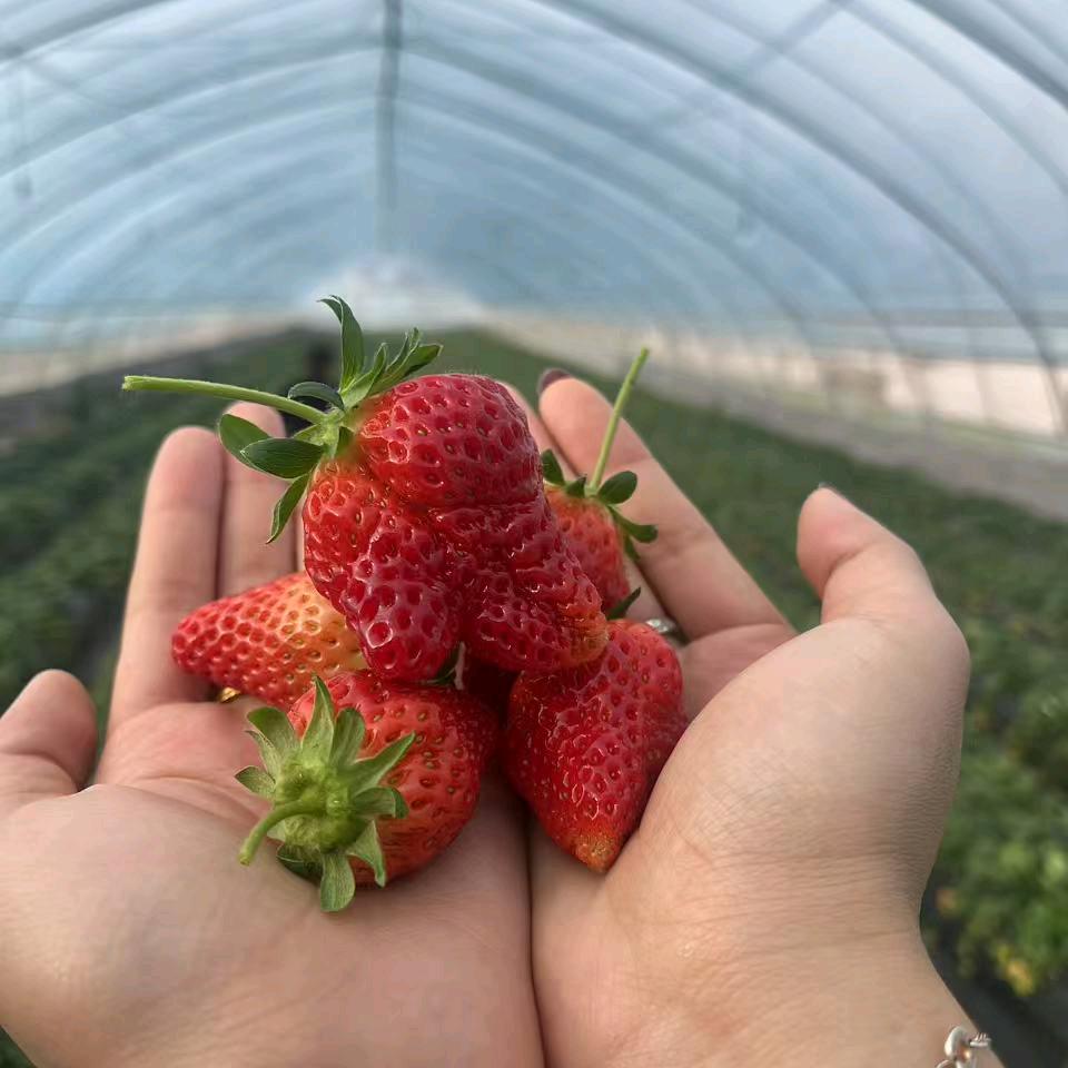 亳州教美术的李老师