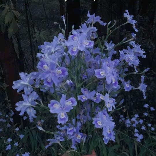 💞时光꧔ꦿ᭄安好࿐ᩚ