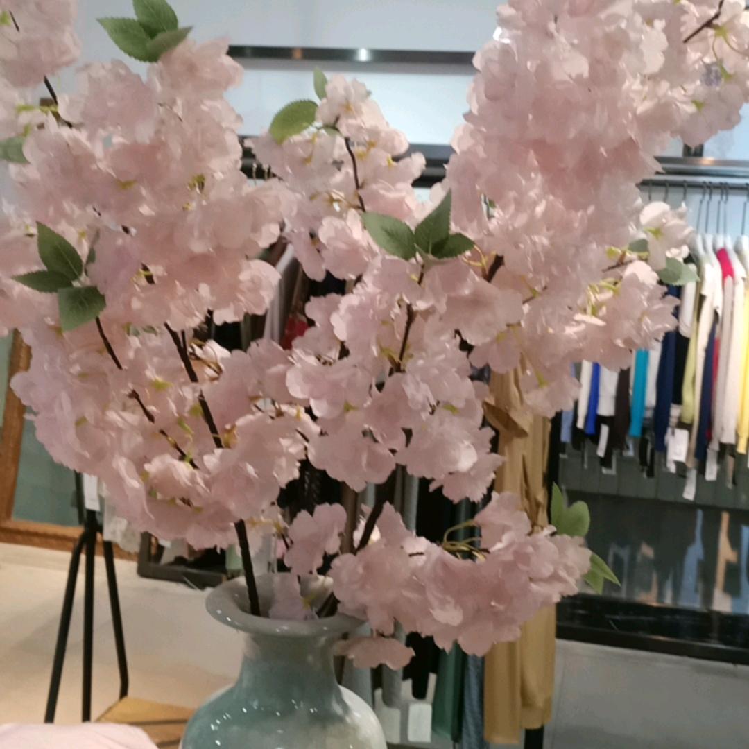 香樟树