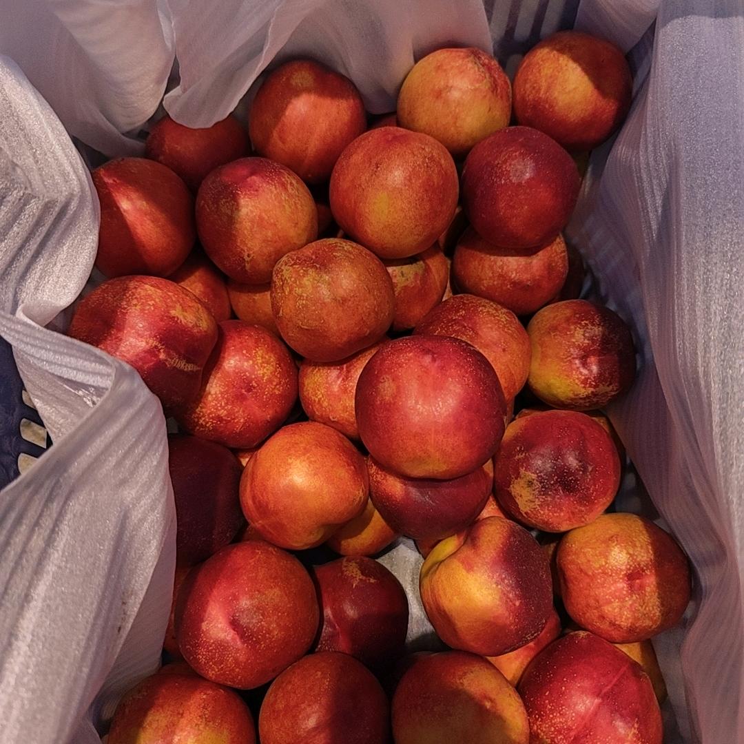 卖桃的胖哥（都是自己山上种的有机水果）