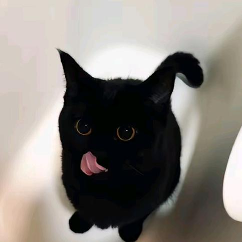 lo