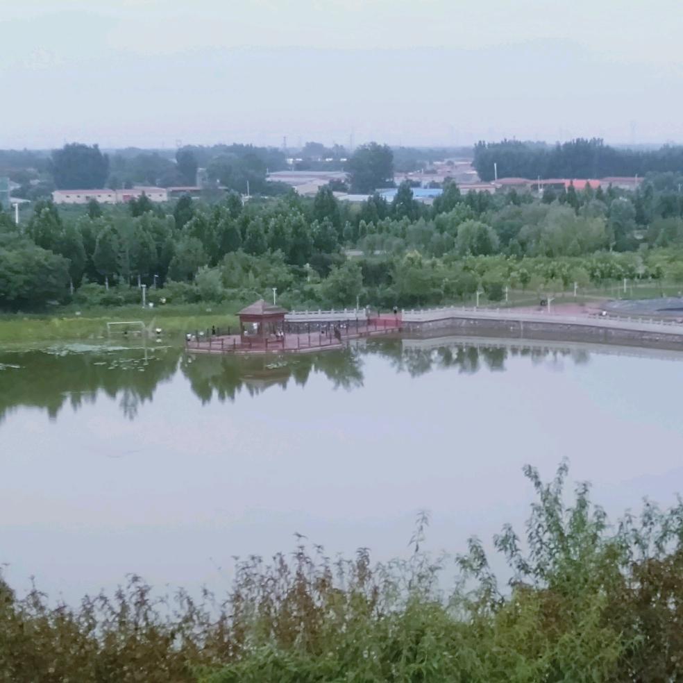 奇缘