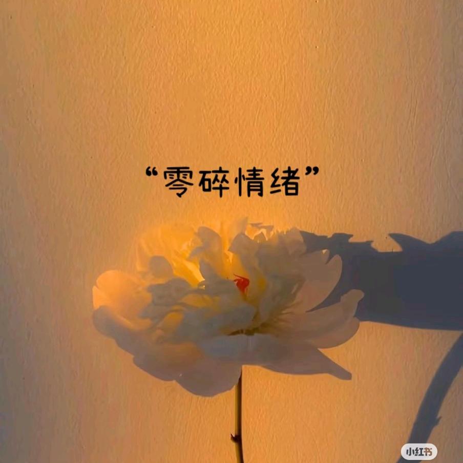 娟儿