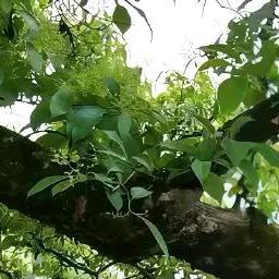 晓梦蝴蝶🦋