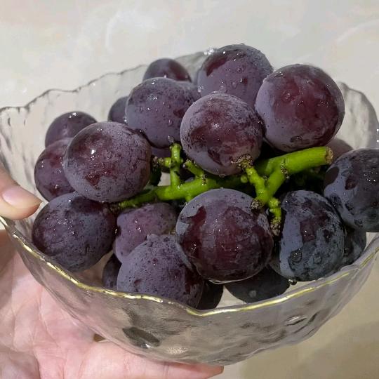 葡萄不酸